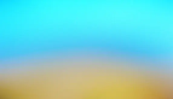 카지노 프랭크 앤 프레드 지원